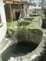 IMG_3657