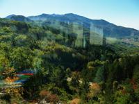 Lovcen Nationalpark