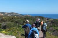 Wanderung rund um Calvi