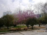 Taxim Park