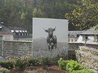 Clervaux