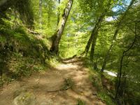 Kleine Luxemburger Schweiz