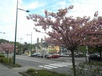 Clervaux