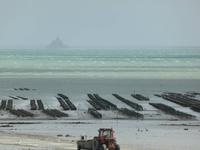Cancale - Austernbänke und Mont St. Michel