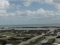 Cancale 