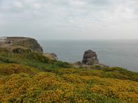 Cap Frehel