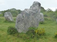 Erdeven - Steinreihen von Kerzerho 