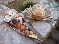 Ston, Halbinsel Pelesac