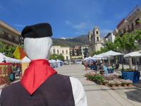 Fischer nicht Pionier