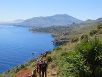 Wandern im Zingaro