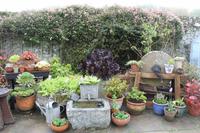 Auf der Insel Sark, La Seigneurie Garten