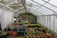 Auf der Insel Sark, La Seigneurie Garten