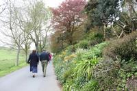 Auf Guernsey, bei der 