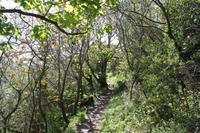 Auf Jersey, während der Wanderung an der Steilküste im Norden Jerseys