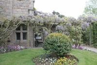 Im Privatgarten auf Jersey