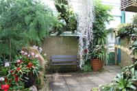 Eric Young Foundation, Orchideen Ausstellung