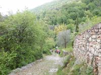 Abstieg nach Castelletto di Brenzone