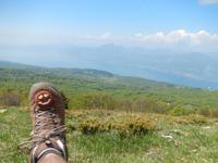 Lustigen Kekse sind wieder mit auf Tour