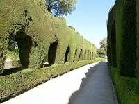 Alhambra-Gärten der Generalife in Granada