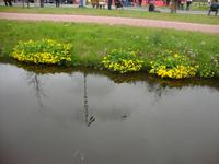 Blumencorso