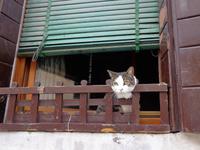 ...immer diese Touristen