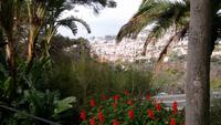 Blick auf Funchal 