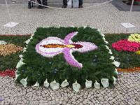 Blumenteppich 