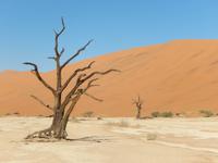 05_Namib Naukluft Nationalpark (23)