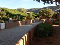 09_ZÜ Gartenidylle Damara Mopane Lodge (1)