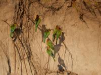 14_Safari im Boot und Jeep (2)