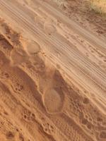 17_Botswana Chobe Nationalpark (2)