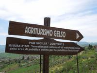 Agriturismo Gelso
