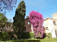 Alcazar-Sevilla