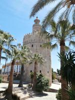 Sevilla-Torre de Oro