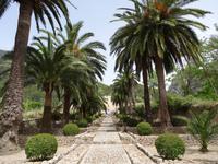 in den Arabischen Gärten von Alfabia