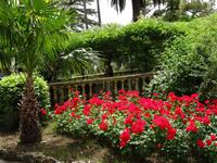 in den Arabischen Gärten von Alfabia