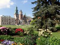 Die Wawelburg zu Krakau, in der Gruft ruht August der Starke