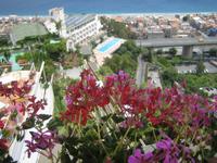 1. Blick auf Letojanni - Sizilien 10-17.5.15