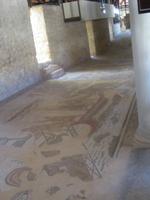 162. Mosaik - Sizilien 10-17.5.15