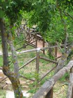 326. Zäune am Agriturismo Gelso - Sizilien 10-17.5.15