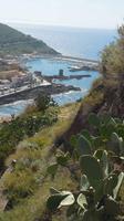 Blick auf den Hafen von Castelsardo