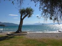 Korfu, Dassia, Hotel Chandris