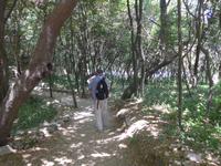 Korfu, Albanienausflug, Butrinti, schattiger Wald zwischen den Ausgrabungen