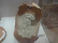 Korfu, Albanienausflug, Butrinti, venezianische Festung mit Museum