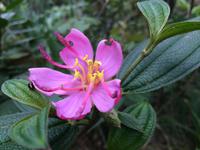 221 Bach Ma-Nationalpark.JPG