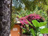 Blütenpracht in der Quinta Splendida