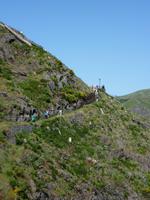 Weg zum Aussichtspunkt - Nonnental