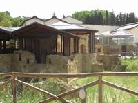 Villa Romana