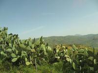 durch Sizilien