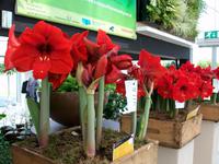 Floriade 2012 in Venlo